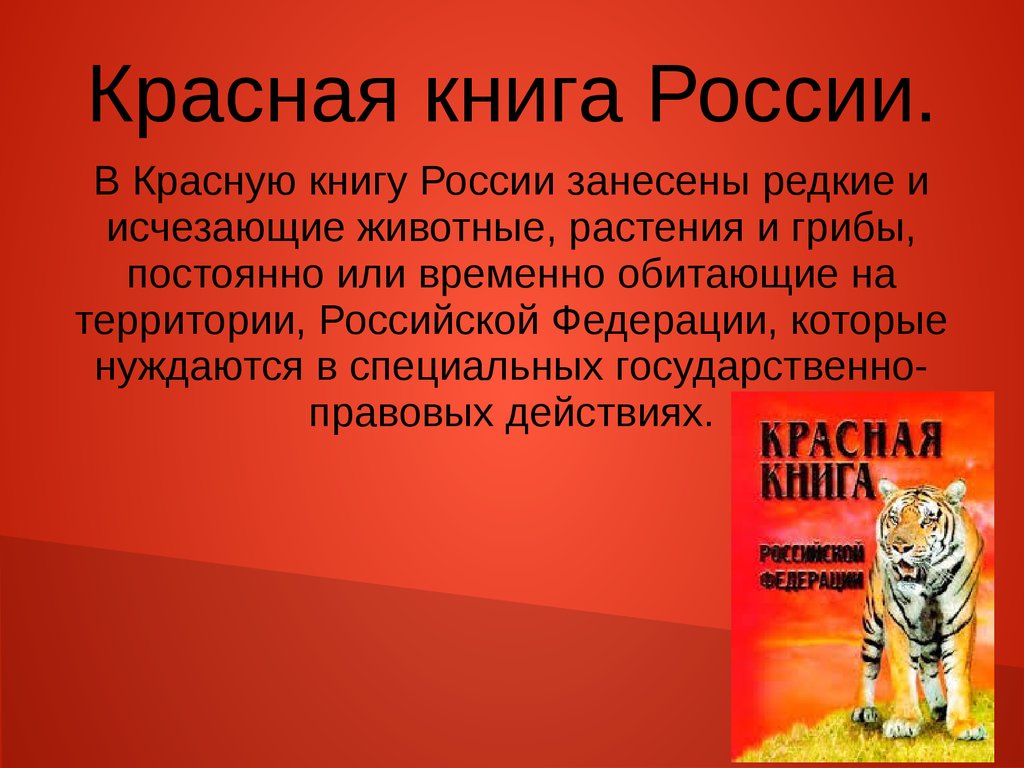 Красная книга россии окружающий мир 4: Проект «Красная книга России» для 4  класса — Школа №96 г. Екатеринбурга